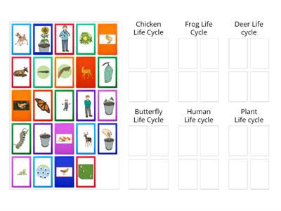 Comparing Life Cycles 