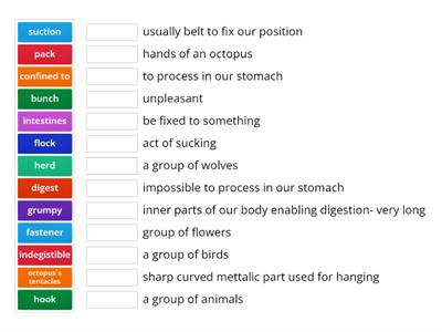 FCE Vocabulary 1