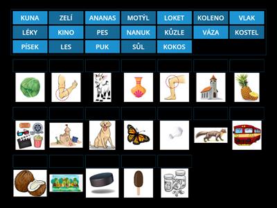 Čtení M,A,L,E,S,O,P,U,I,Y,J,T,N,V,Z,D,K