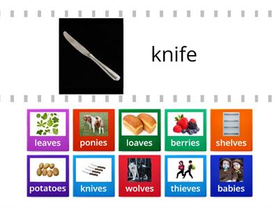 Find the match - Irregular plurals