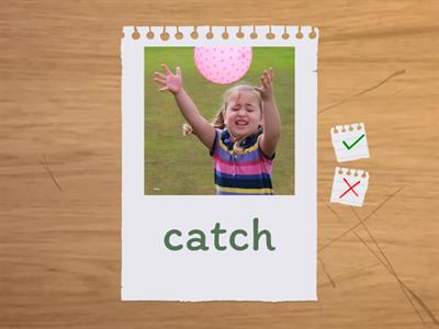 irregular masha go getter