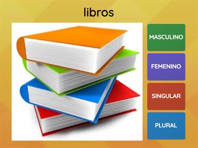 SUSTANTIVOS: género y número (marca las dos opciones correctas)