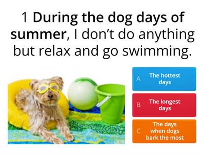 Summer Idioms