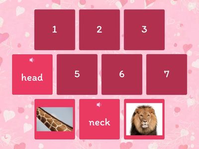 Super Safari 2 animals body