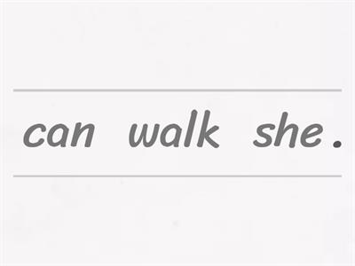 Can different tupes of questions