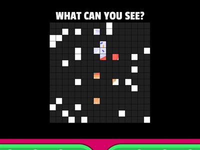 WHAT CAN YOU SEE?