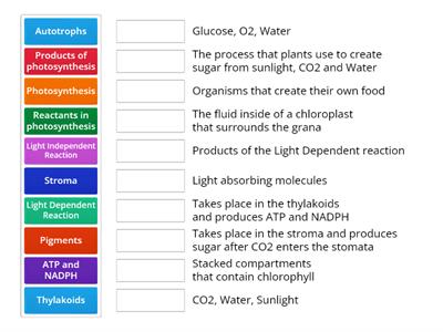 Photosynthesis