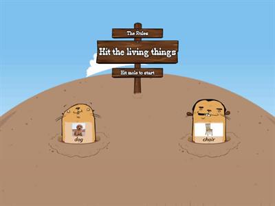 Living things and non-living things