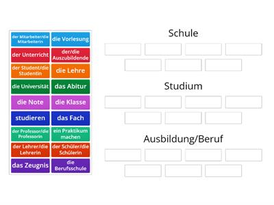 Schule, Studium, Ausbildung/Beruf