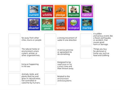 Plastic pollution vocabulary