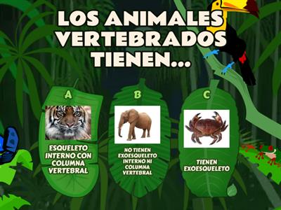 Animales vertebrados