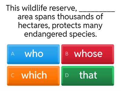 NON - DEFINING RELATIVE