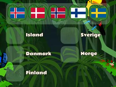 Träna Nordens flaggor