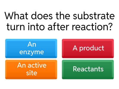 Enzymes IGCSE