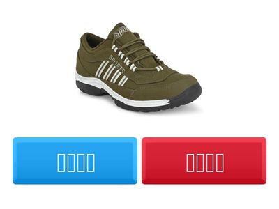 चित्र देखकर सही उत्तर चुनिए I (उ , ऊ) 