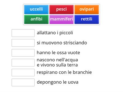 Scienze: classificazione degli animali