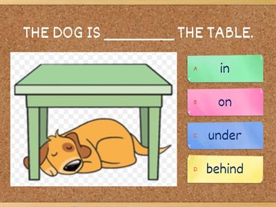 PREPOSITIONS OF PLACE - in,on,under,behind