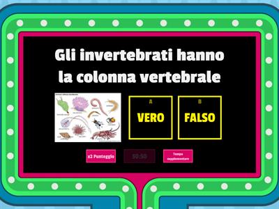  Gli Invertebrati