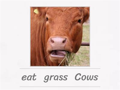 SUBJECT, VERB and OBJECT exercise