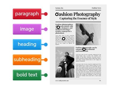 Layout & organisationalfeatures (article) 