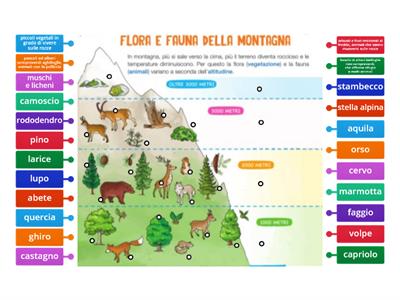 Flora e fauna della montagna