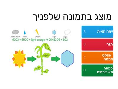 חזרה על פרק התא ומערכות-  ביולוגיה בתמונות