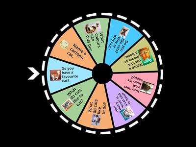 Cat Quiz - Spin the wheel