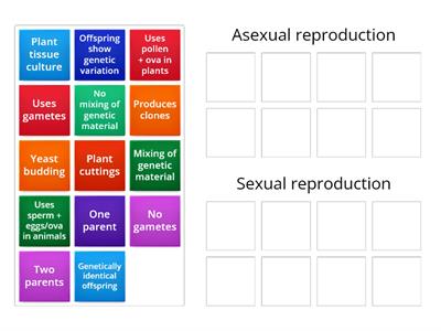 Asexual vs sexual reproduction