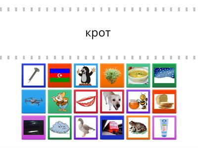 Соотнеси слово с картинкой