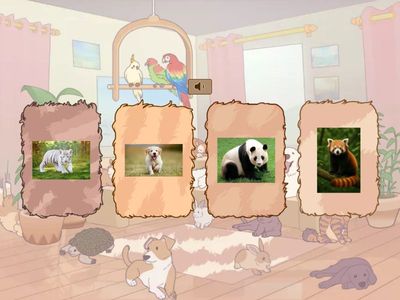 слушай! животные в китае