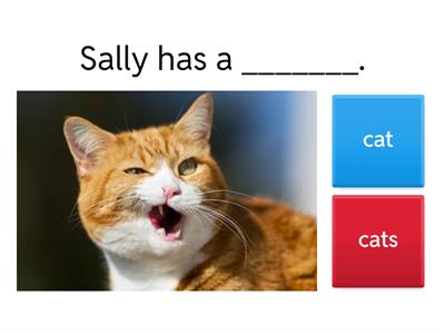 Singular and Plural verbs nouns