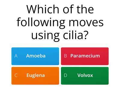 Cells, Organelles, and Protists