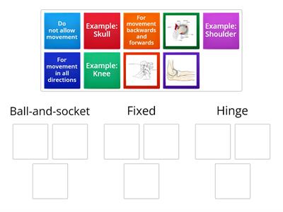 2.5 Movement: Joints