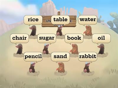 Countable and Uncountable Nouns