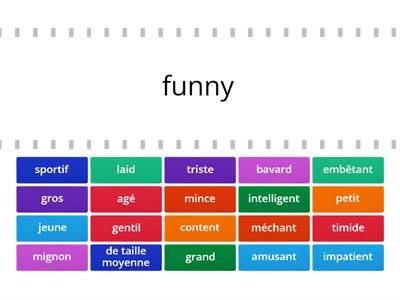 Descriptive Adjectives Find the Match!