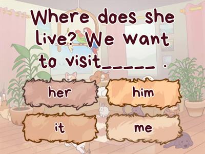 Subject and Object pronouns 