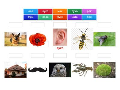 Читання 1 клас(2)