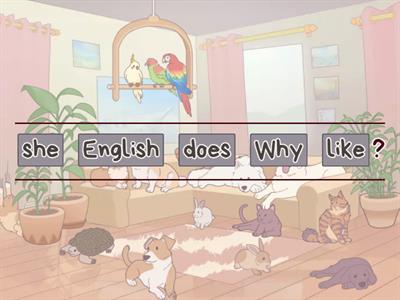 Rainbow English 4. Question words 