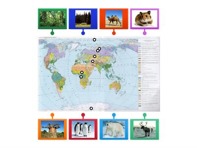 природные зоны 8 кл