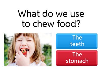 Cambridge Science skills 2. Unit:2 Review