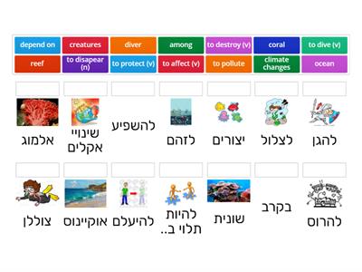 Discovering corals- Module C