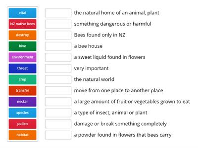 Bees in NZ Vocabulary