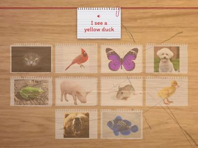 I see...Colors and animals