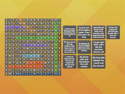 LLS Digestive System Wordsearch