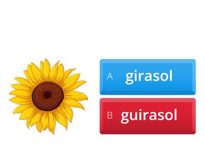 ge    gi    gue   gui