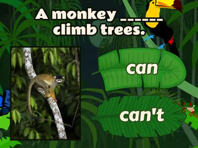 Can and Can't (Animals)