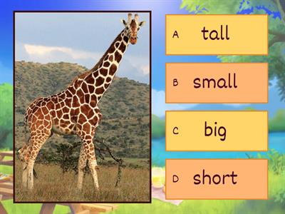 Прилагательные 