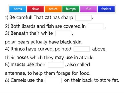 Outcomes Adv_Unit 8_Animals