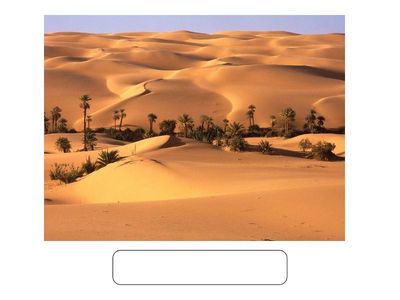  English plus 3 unit 3_type