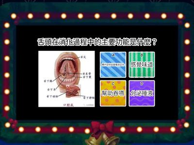 消化系統-芭樂籽的旅行